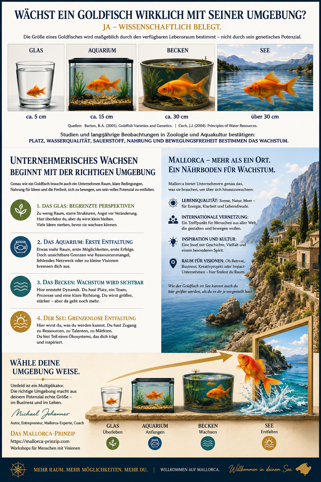 Schaubild Das Mallorca-Prinzip: Ein Goldfisch wächst entsprechend seiner Umgebung — von Glas über Aquarium und Becken bis zum offenen See. So entfaltet sich auch unternehmerisches und persönliches Wachstum auf Mallorca.